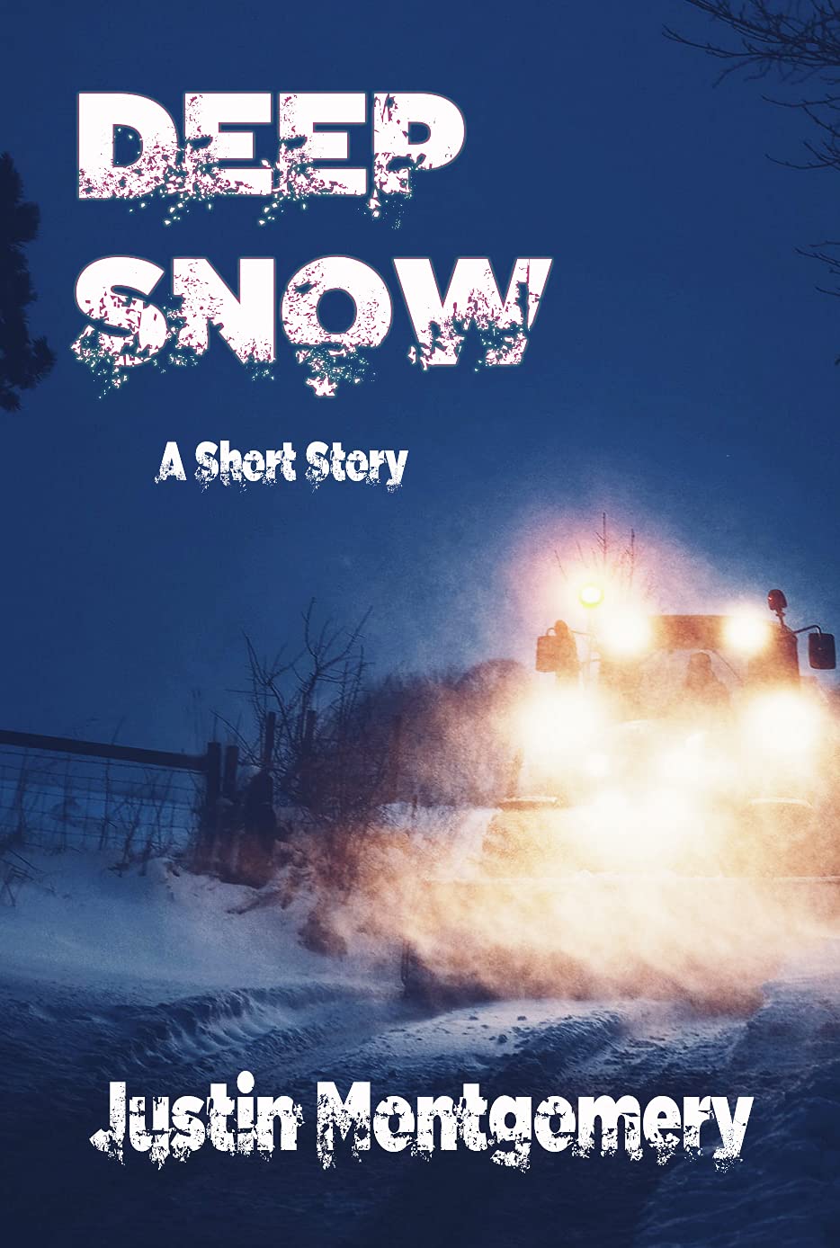 Deep Snow (Kindle Edition)