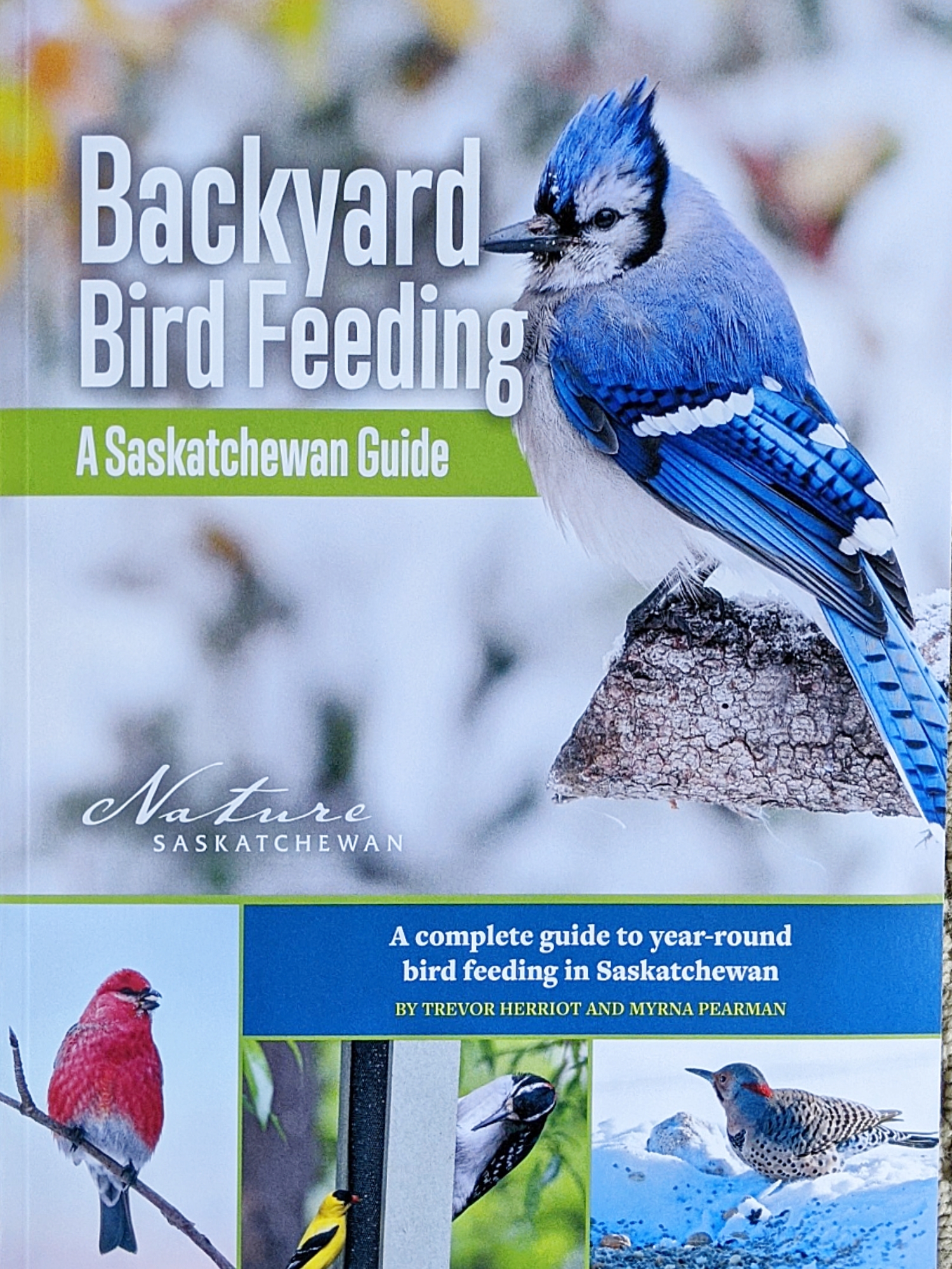 Backyard Bird Feeding: A Saskatchewan Guide