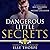 Dangerous Little Secrets (Saint View High, #2)