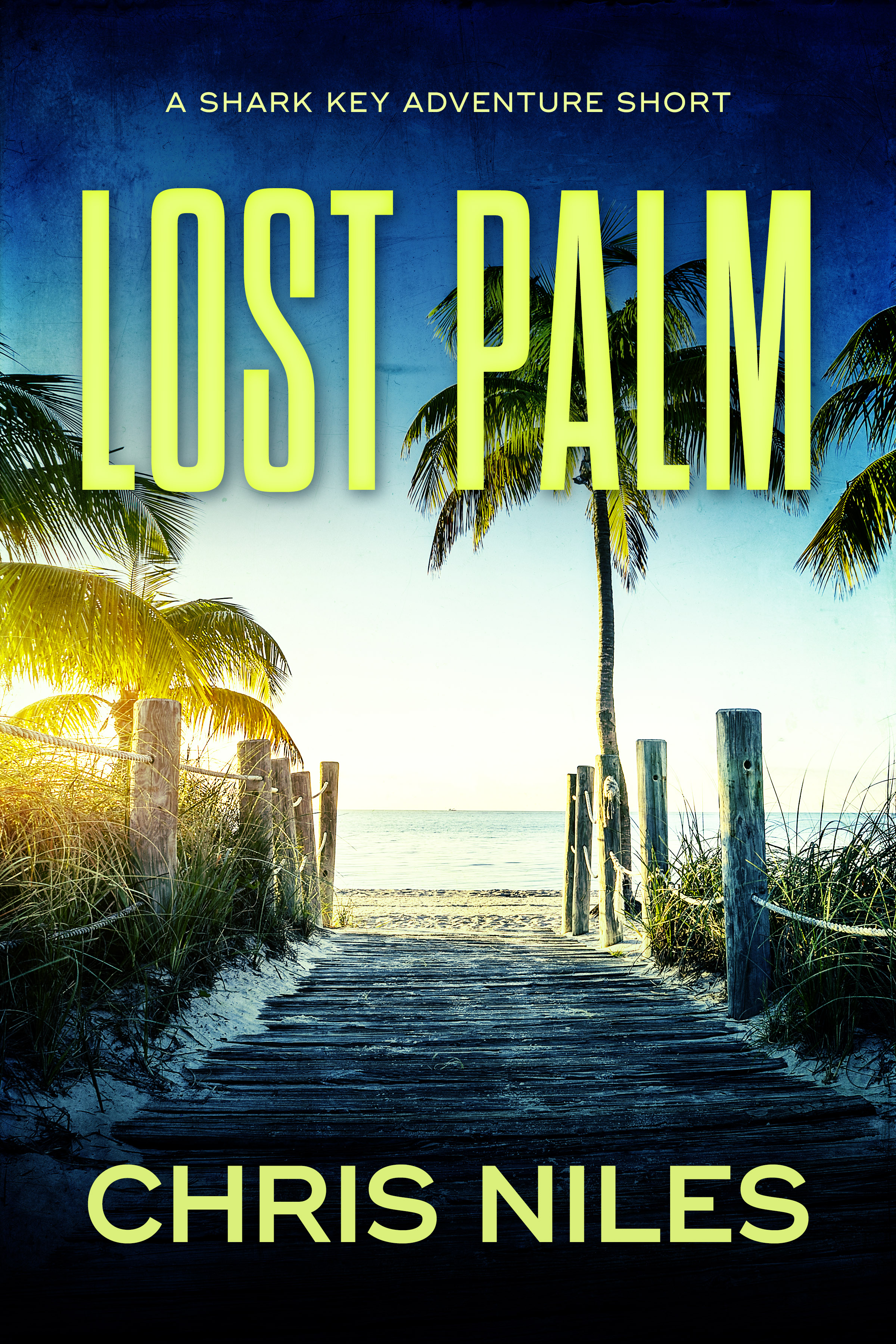 Lost Palm (Shark Key Adventures, #0.5)