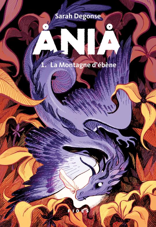 La Montagne d'ébène (Ania, #1)