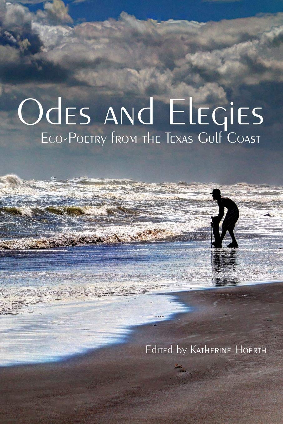 Odes and Elegies: Eco-Poetry from the Texas Gulf Coast (Paperback)
