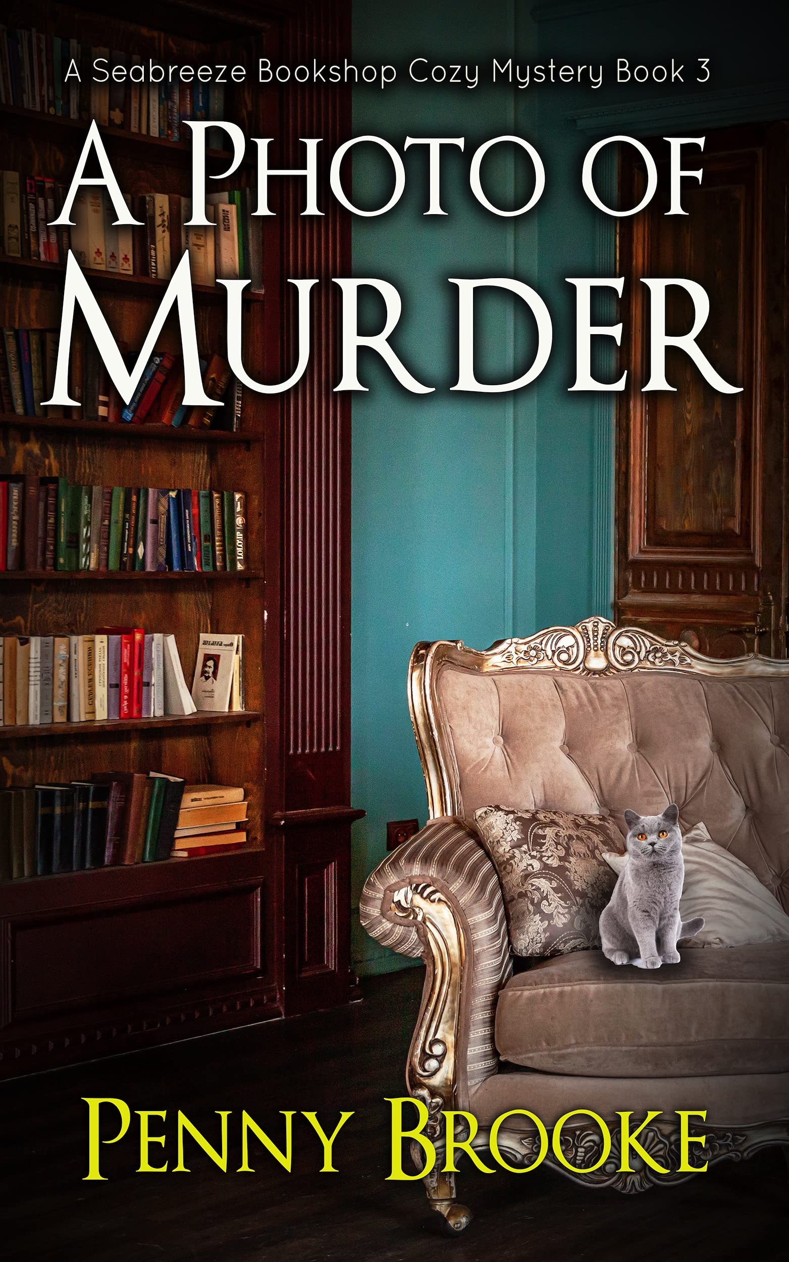A Photo of Murder (Seabreeze Bookshop #3)