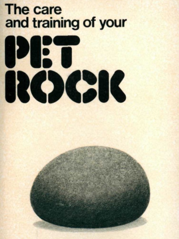 The Care and Training of Your Pet Rock