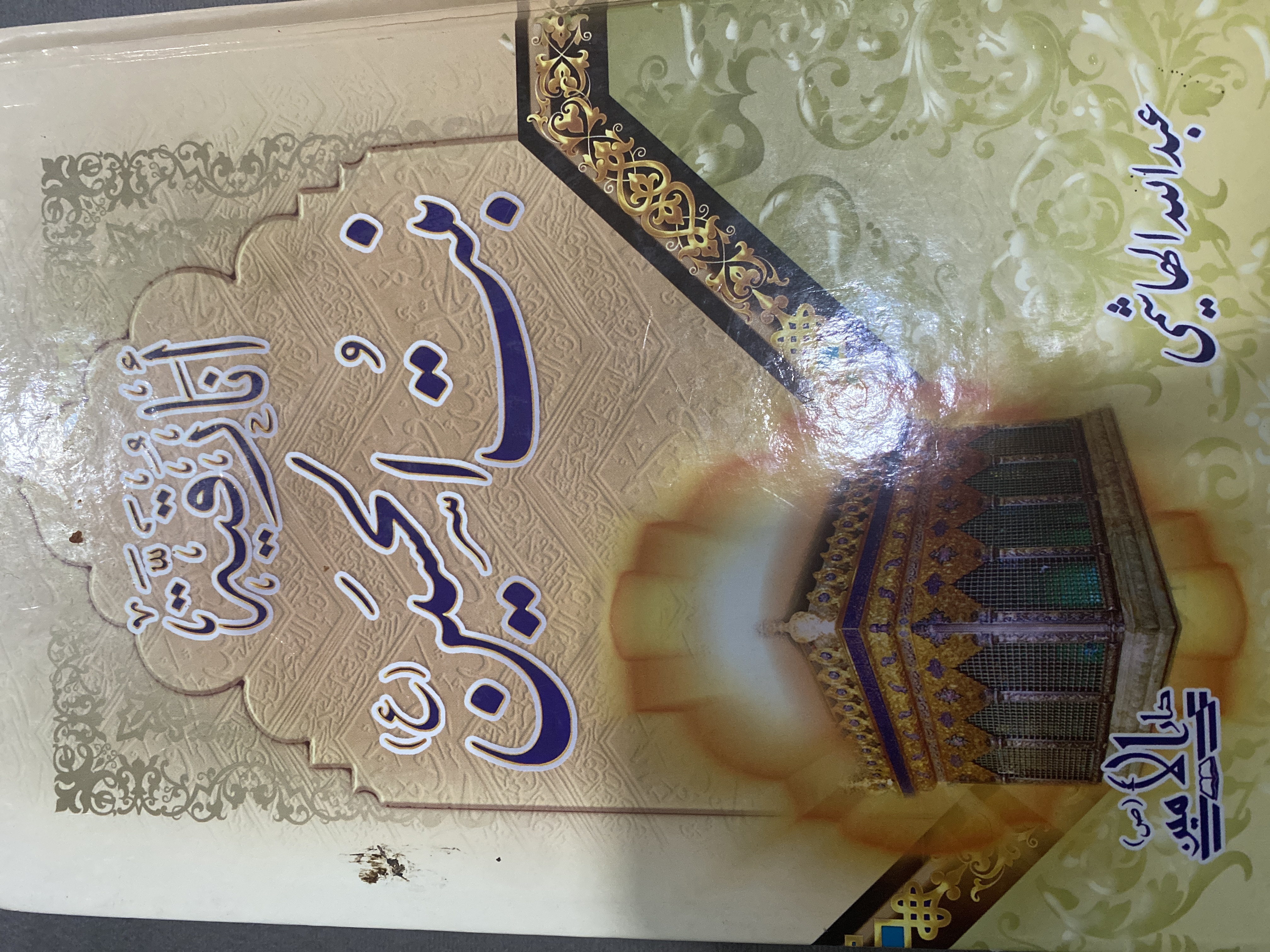 أنا رقية بنت الحسين عليه السلام
