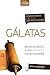 Comentario bíblico con aplicación NVI Gálatas: Del texto bíblico a una aplicación contemporánea (Spanish Edition)