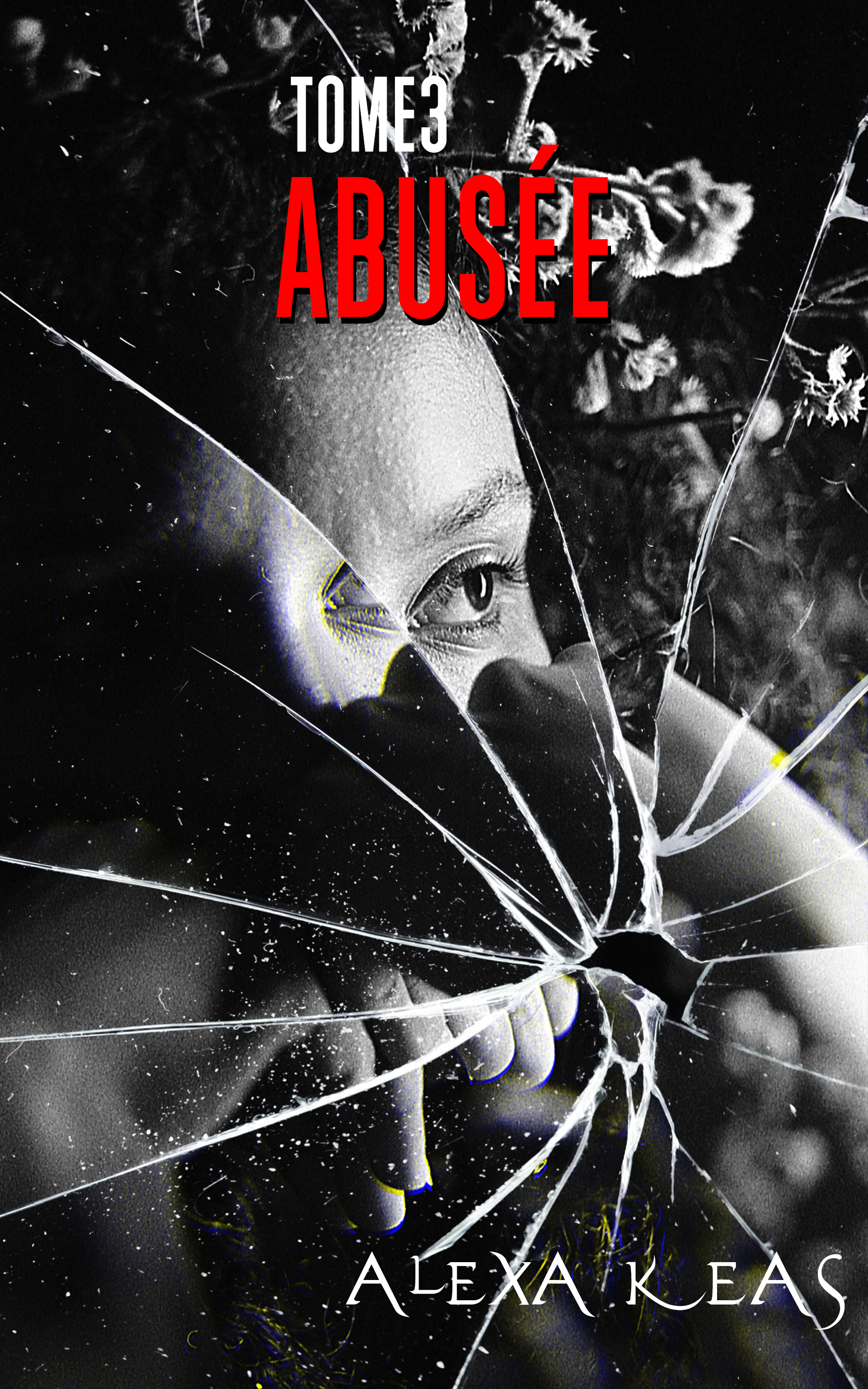Abusée: Tome 3 (French Edition)