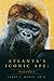Atlanta’s Iconic Ape:  The ...