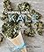 Cooking With Kale