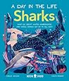 Sharks: What Do Great Whites, Hammerheads, and Whale Sharks Get Up To All Day? (A Day in the Life)
