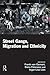 Street Gangs, Migration and Ethnicity by Frank van Gemert