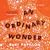 An Ordinary Wonder