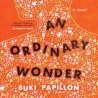 An Ordinary Wonder