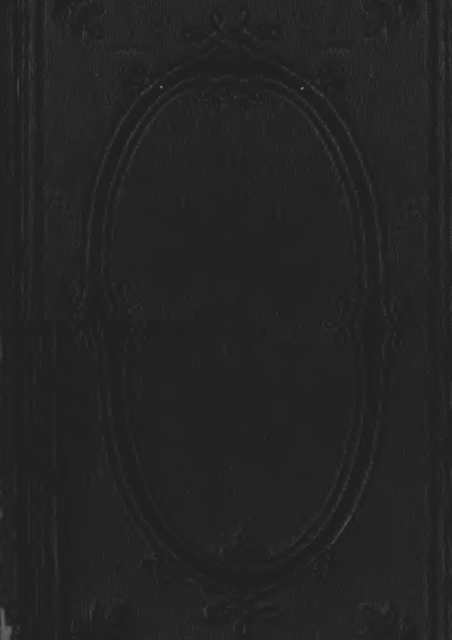 The Bride of the Iconoclast. A Poem