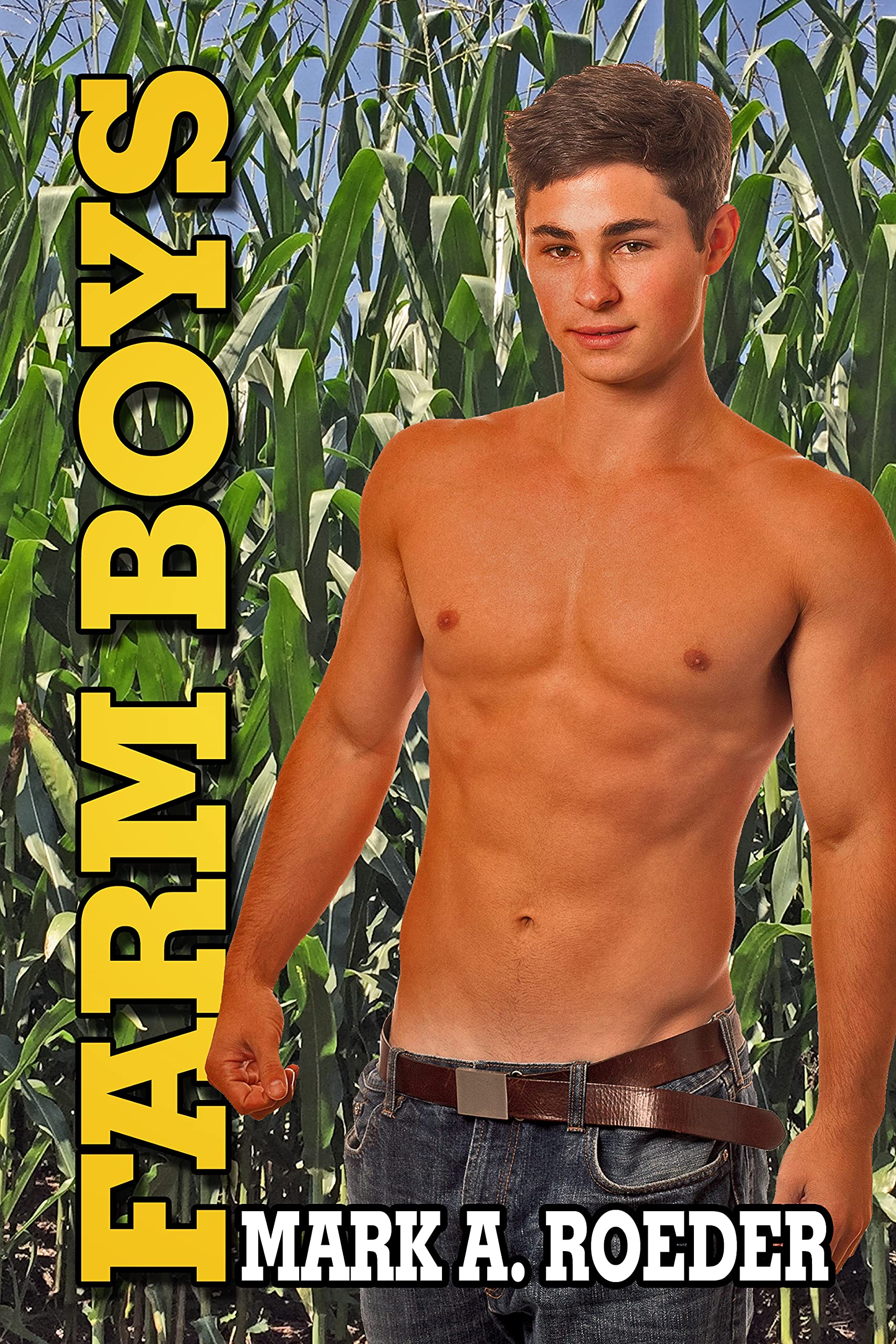 Farm Boys (Kindle Edition)