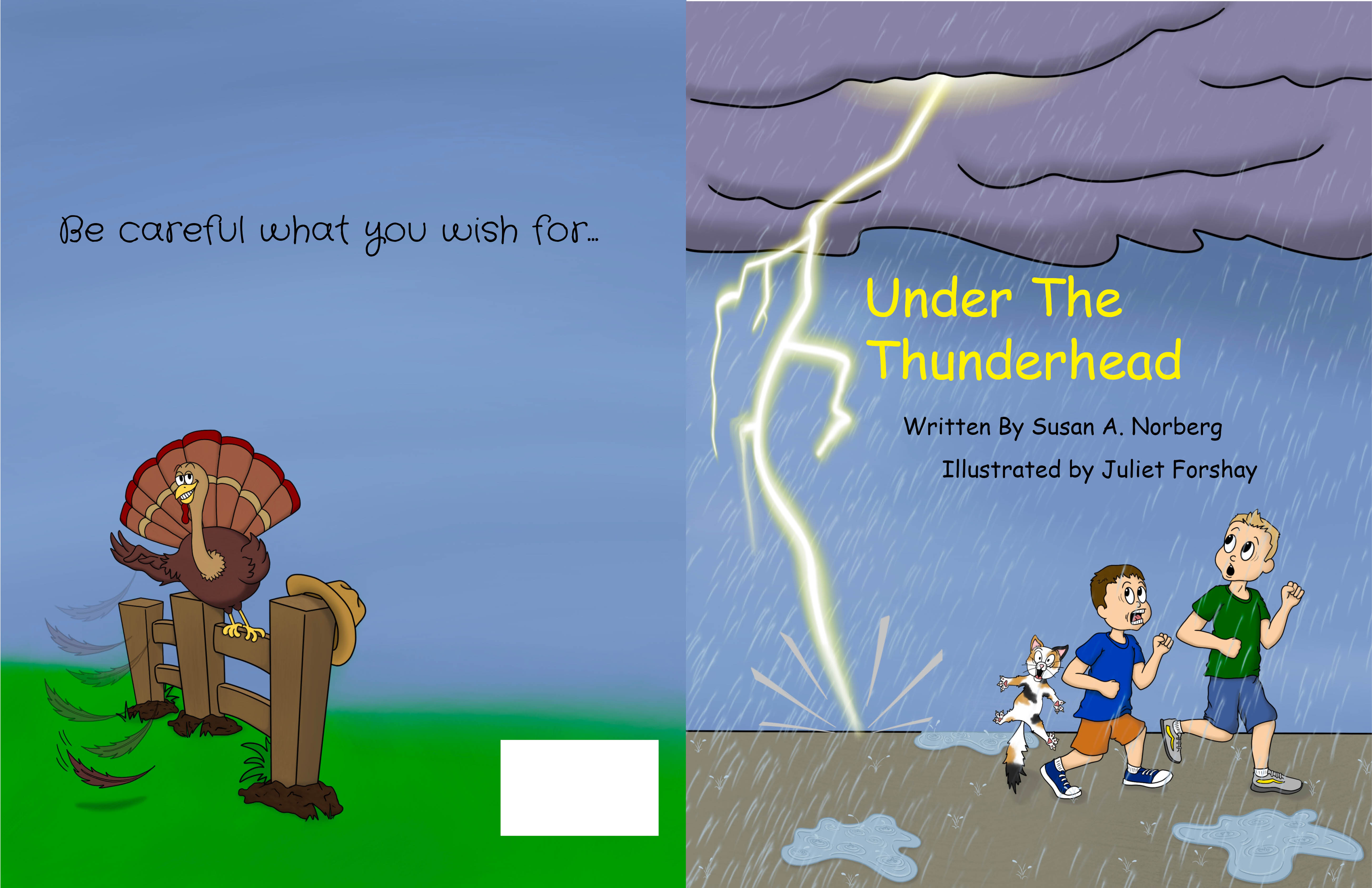 Under the Thunderhead