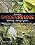 Australian Garden Rescue [OP]: Restoring a Damaged Garden