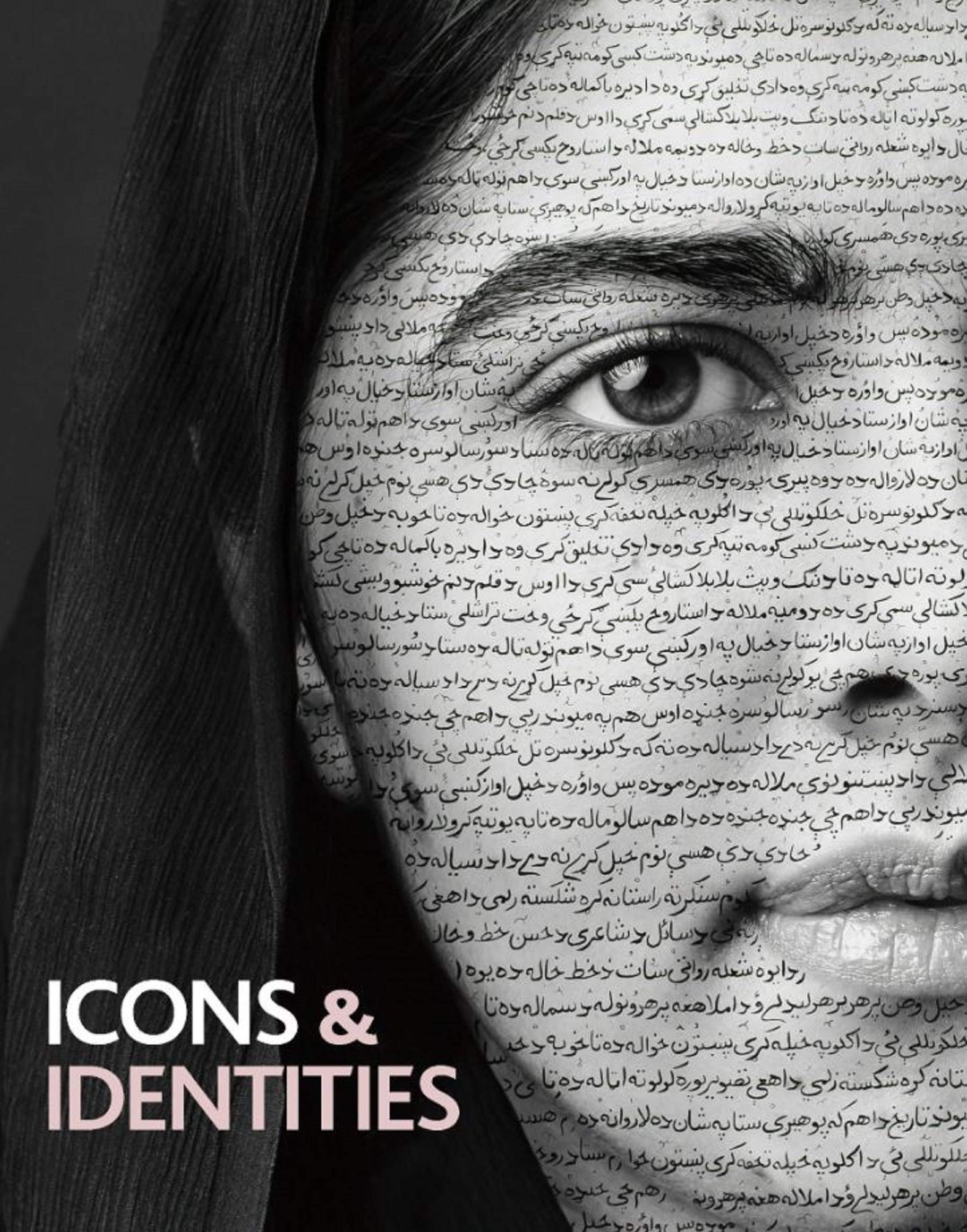 Icons and Identities (Hardcover)