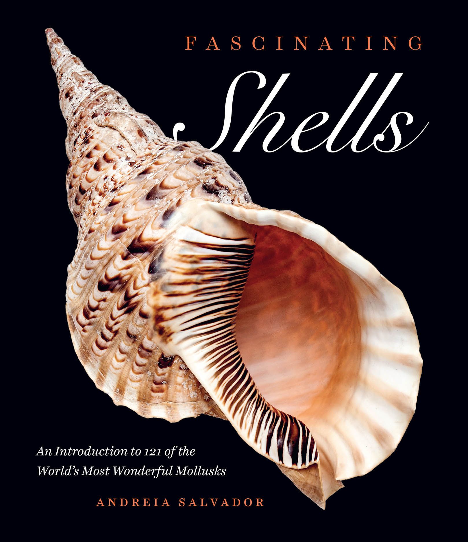 Fascinating Shells: An Introduction to 121 of the World’s Most Wonderful Mollusks (Hardcover)