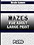 Brain games Mazes for adult large print P by Alaa Al_mousawi