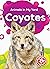 Coyotes