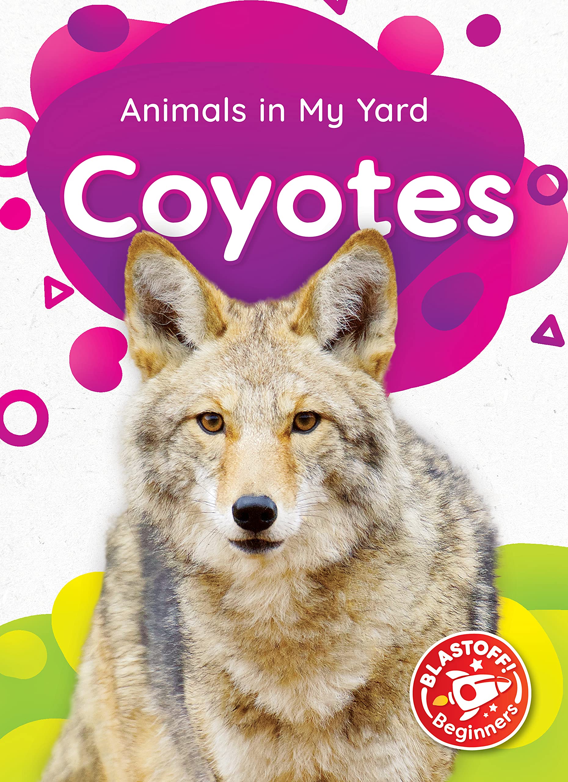 Coyotes (Animals in My Yard)