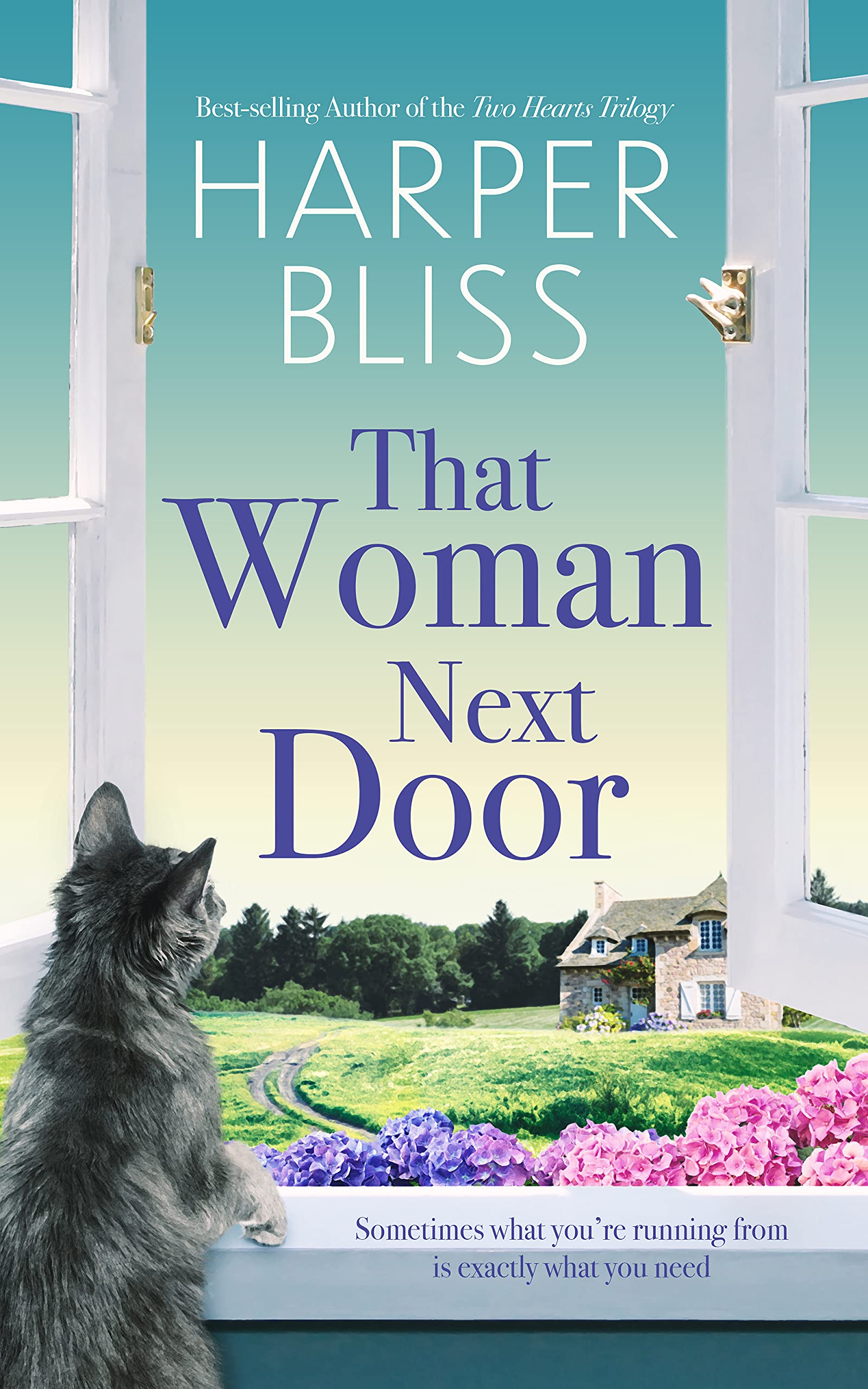 That Woman Next Door (Kindle Edition)