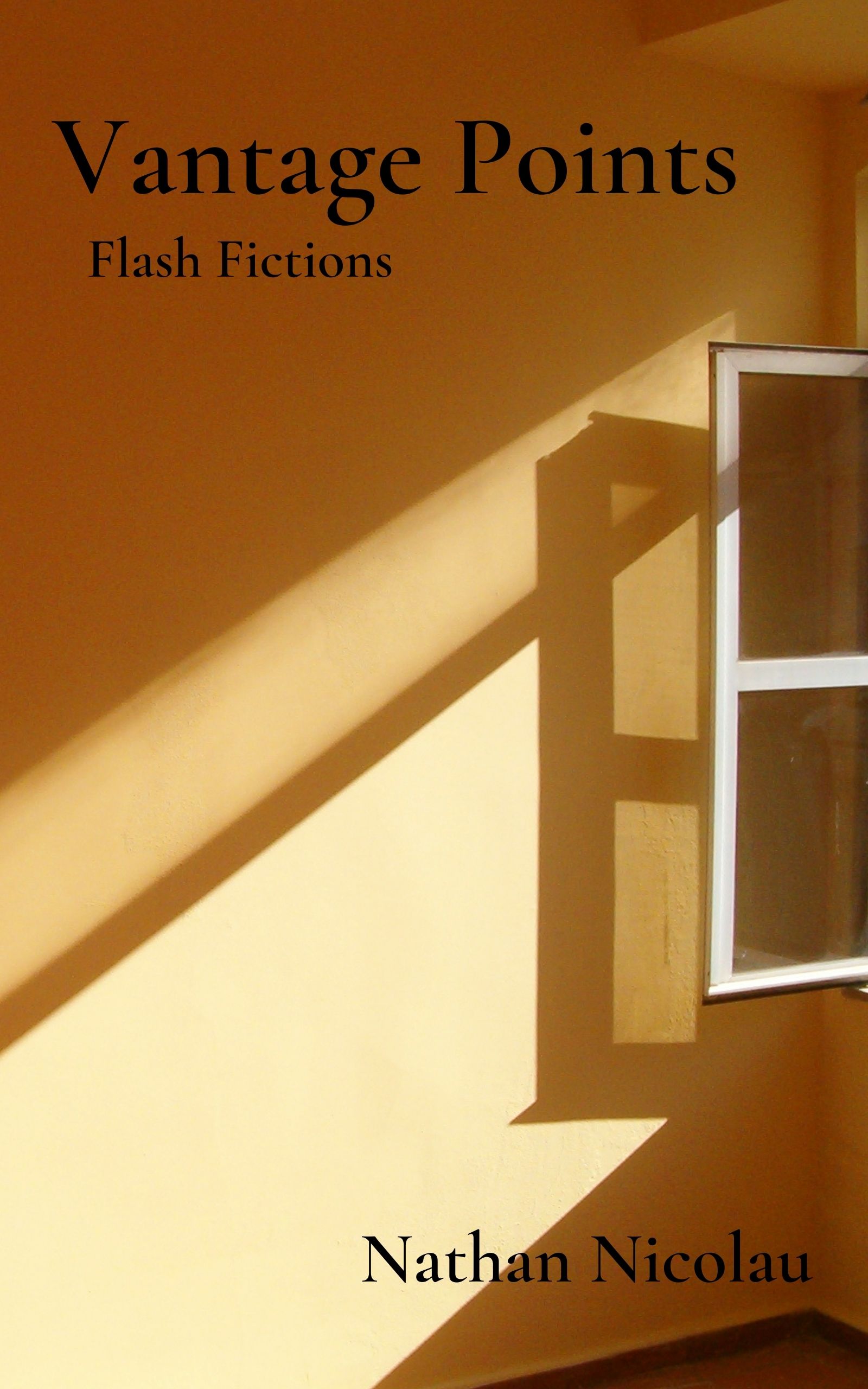 Vantage Points: Flash Fictions