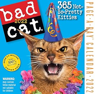 365 Cats Page A Day Calendar 2022 Bad Cat Page-A-Day Calendar 2022: 365 Not So Pretty Kitties By Not A Book