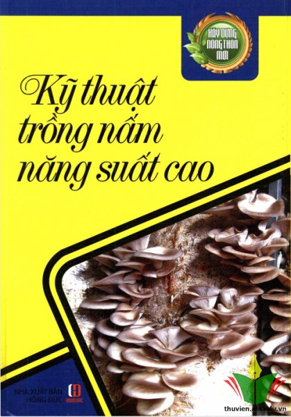 Kỹ thuật trồng nấm năng suất cao