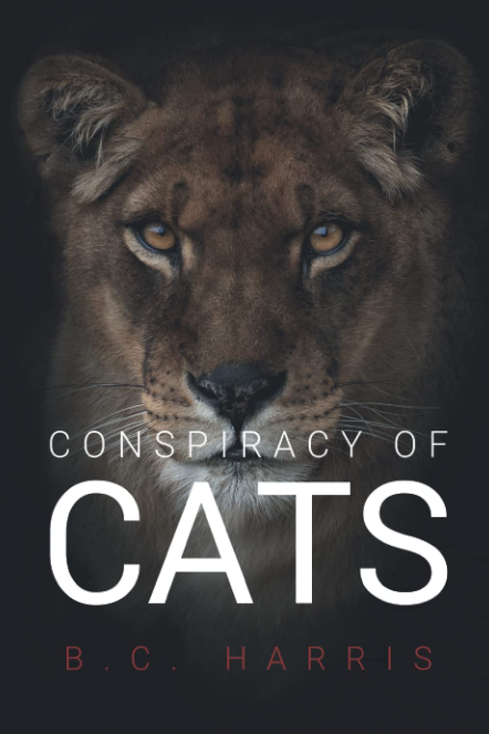 Conspiracy of Cats (Paperback)