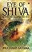 EYE OF SHIVA by Prashant Saxena