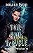 Toil and Trouble (Yverwood Witches, #1)