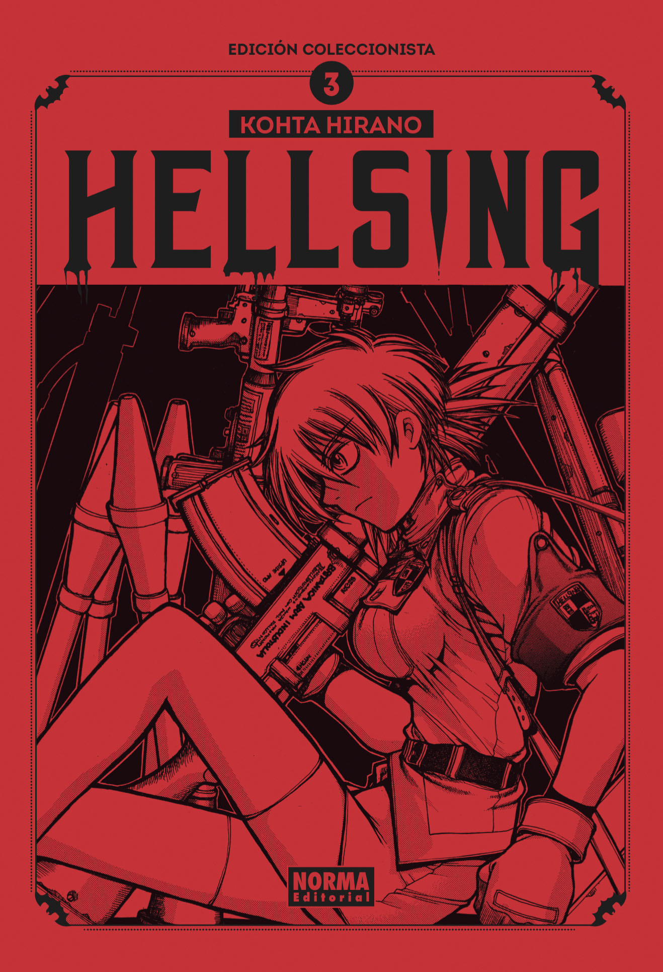 Hellsing #3 (Hellsing Edición Coleccionista, #3)