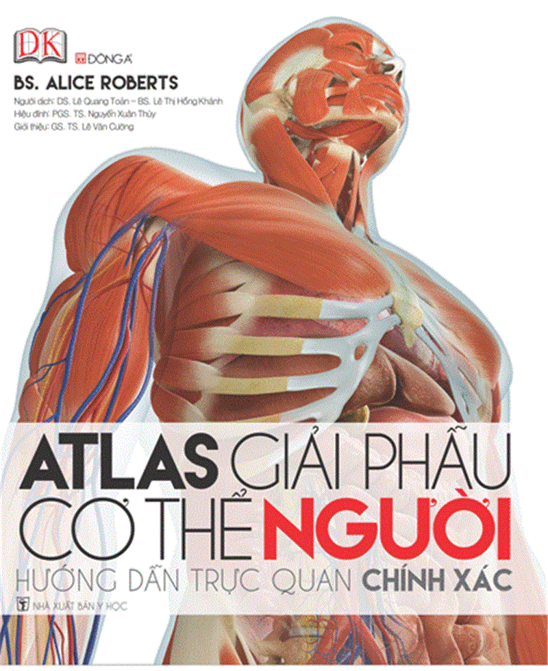 Atlas giải phẫu cơ thể người: Hướng dẫn trực quan chính xác