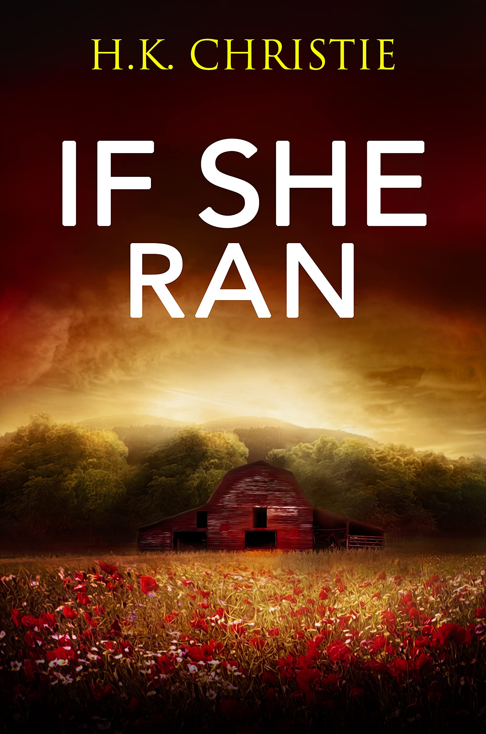 If She Ran (Martina Monroe, #2)