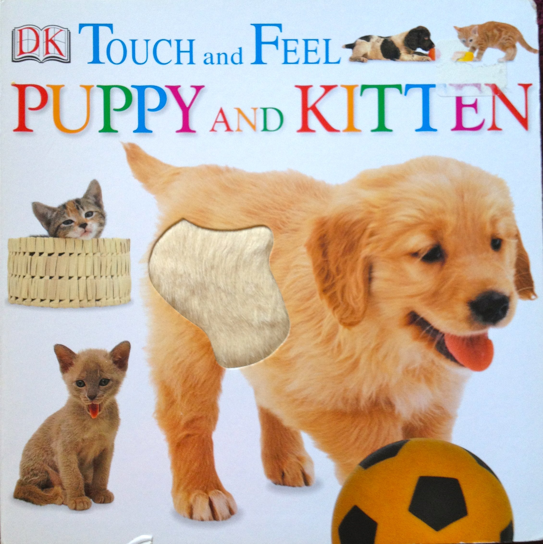 Touch And Feel Kitten/Puppy and Kitten (Hardcover)