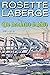Le défi de la démesure (Un bonheur à bâtir t. 2) by Rosette Laberge