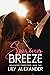 Spring Breeze (Hollywood Connections, #2)