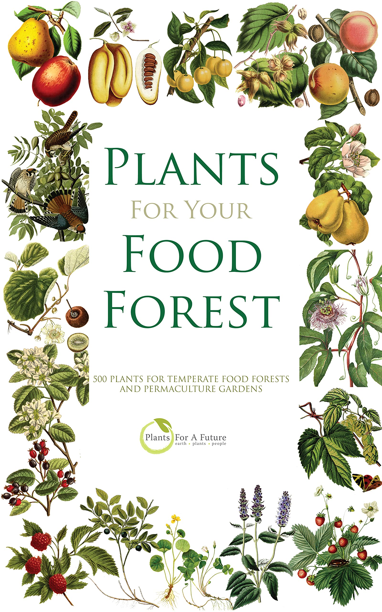 Plants for Your Food Forest: 500 plants for temperate food forests and permaculture gardens (Kindle Edition)