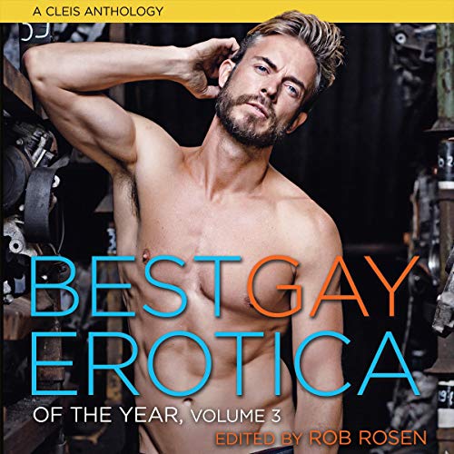 Best Gay Erotica of the Year, Volume 3 (Best Gay Erotica of the Year, #3)