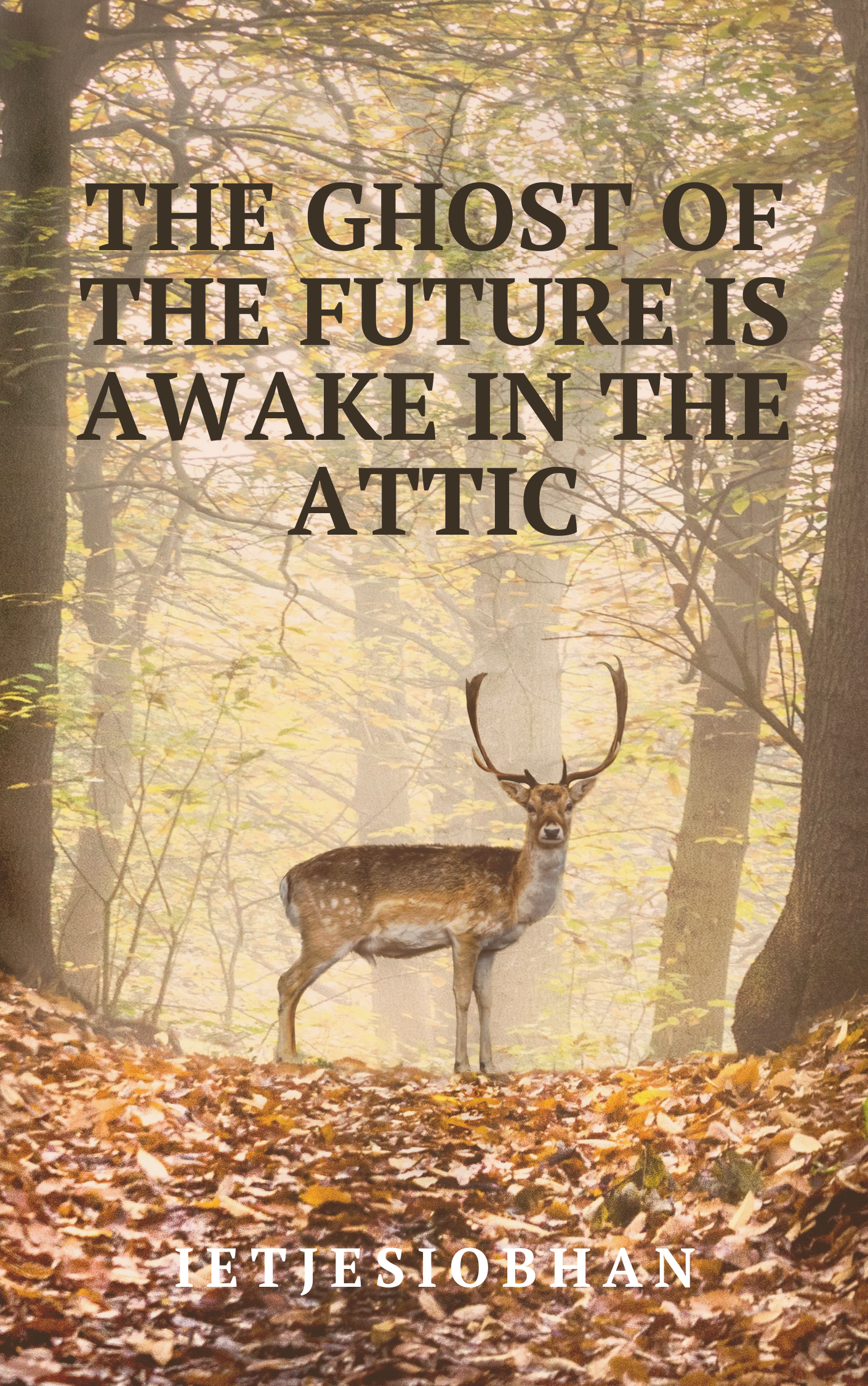The Ghost Of The Future Is Awake In The Attic