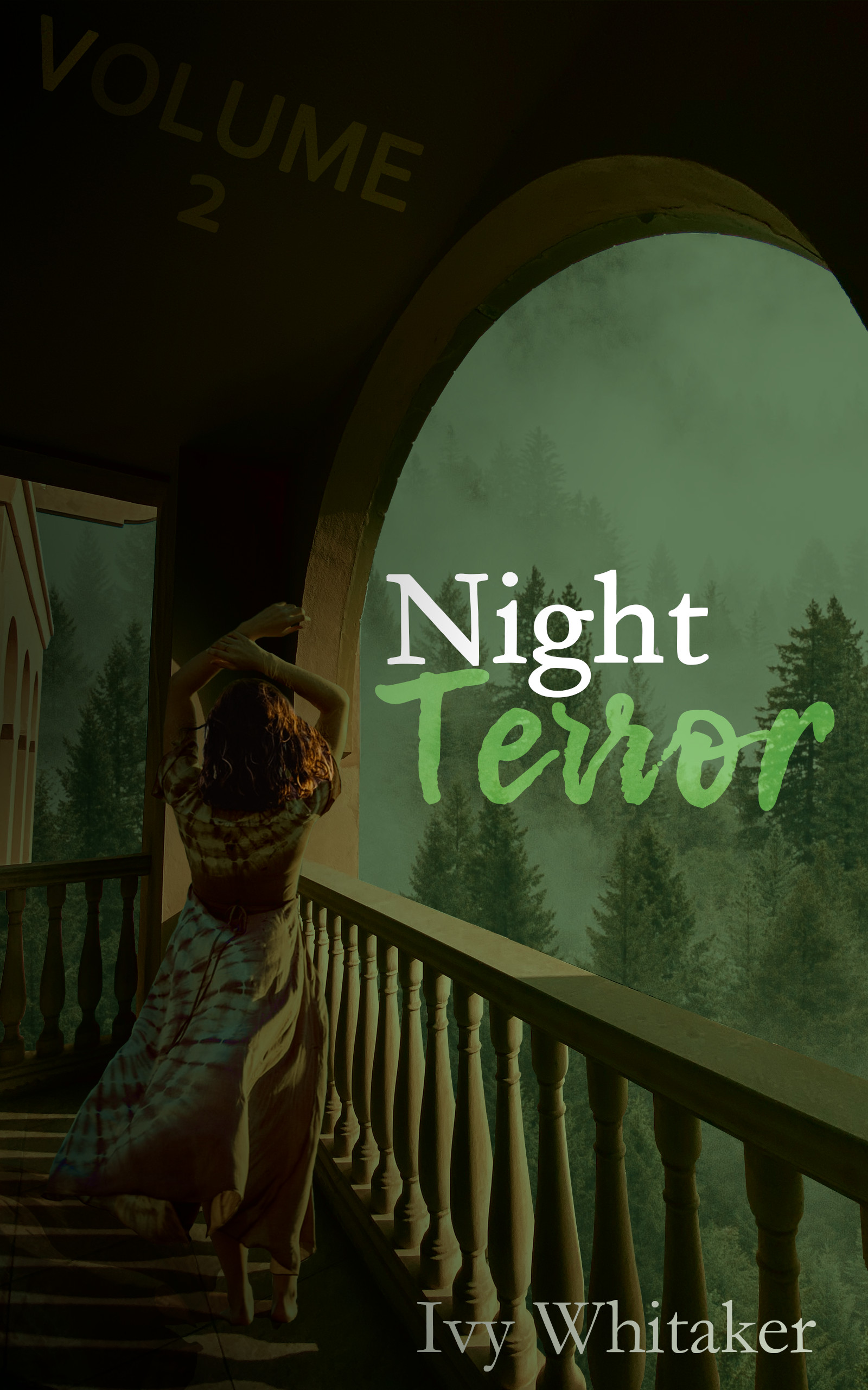Night Terror: A Paranormal Romance (Dark Paths, #2)
