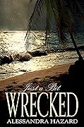 Just a Bit Wrecked (Straight Guys, #11)