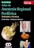 Atlas de Anestesia Regional Periférica Anatomía y técnicas by Gisela Meier