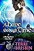 A Love Through Time by Terri Brisbin A Love Through Time by Terri Brisbin