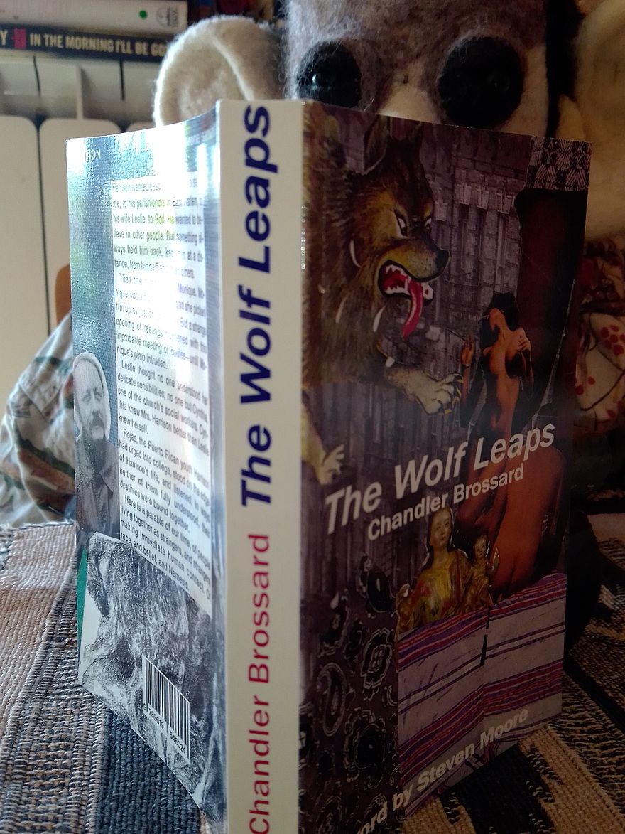 The Wolf Leaps (Paperback)