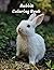 Rabbit Coloring Book: Kids ...