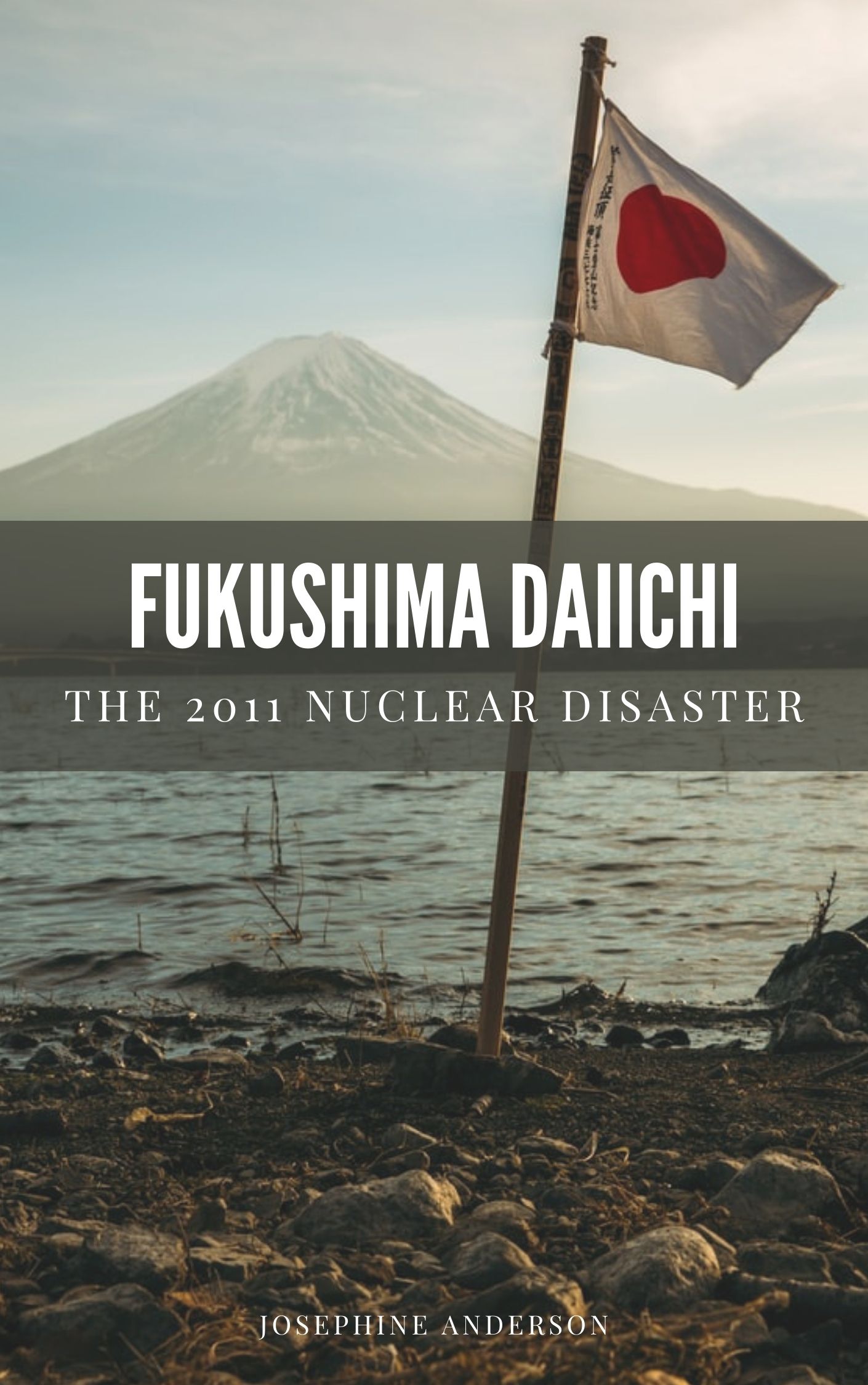 Fukushima Daiichi: The 2011 Nuclear Disaster (Kindle Edition)