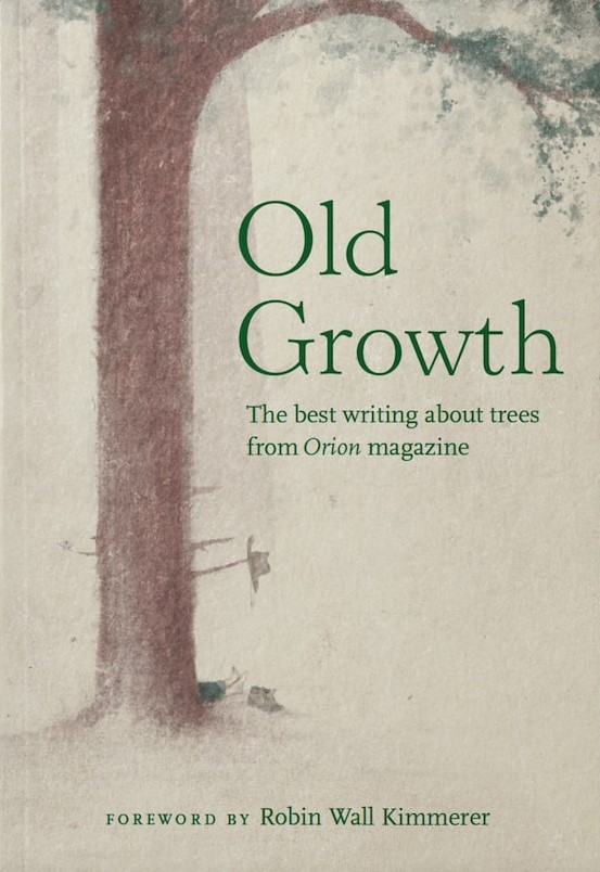 Old Growth: The best writing about trees from Orion magazine